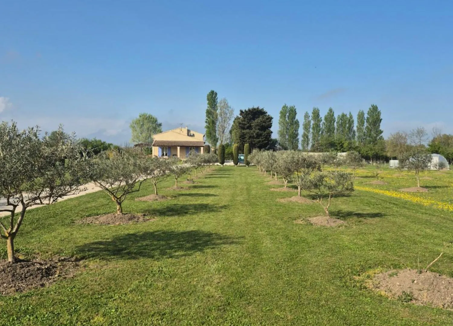 Bed & Breakfast Mas Clement - Chambre Et Table D'Hotes LʼIsle-sur-la-Sorgue